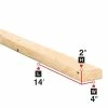 Best reviews of 🧨 2 In. X 4 In. X 14 Ft. Spruce Lumber 🌟