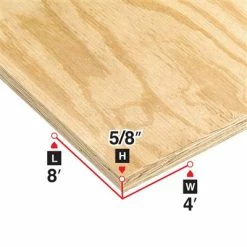 Coupon 🎉 5/8 In. X 4 Ft. X 8 Ft. Standard Spruce Plywood ⭐