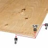 New ⭐ 5/8 In. X 4 Ft. X 8 Ft. Degrade Spruce Plywood 🤩