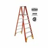 Top 10 ✔️ WERNER P6206CA 6 Ft. Fibreglass Platform Step Ladder With 300 Lb. Load Capacity Type IA Duty Rating 😍